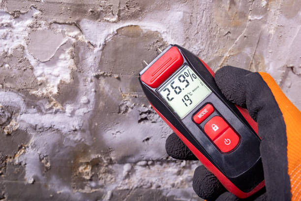 Best Certified Mold Removal  in Rolling Hills, CA