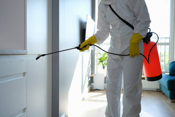 Crawl Space Mold Removal in Rolling Hills, CA