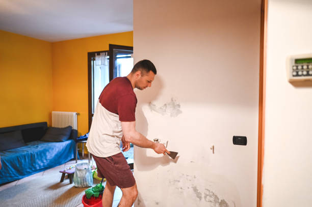 Best Black Mold Removal  in Rolling Hills, CA